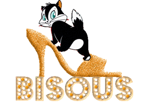 gif bisous putois